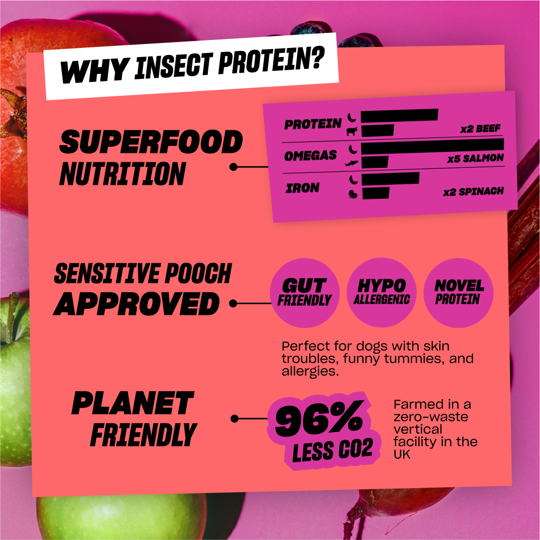 SUPERFOOD SUPPER (SUBSCRIPTION)