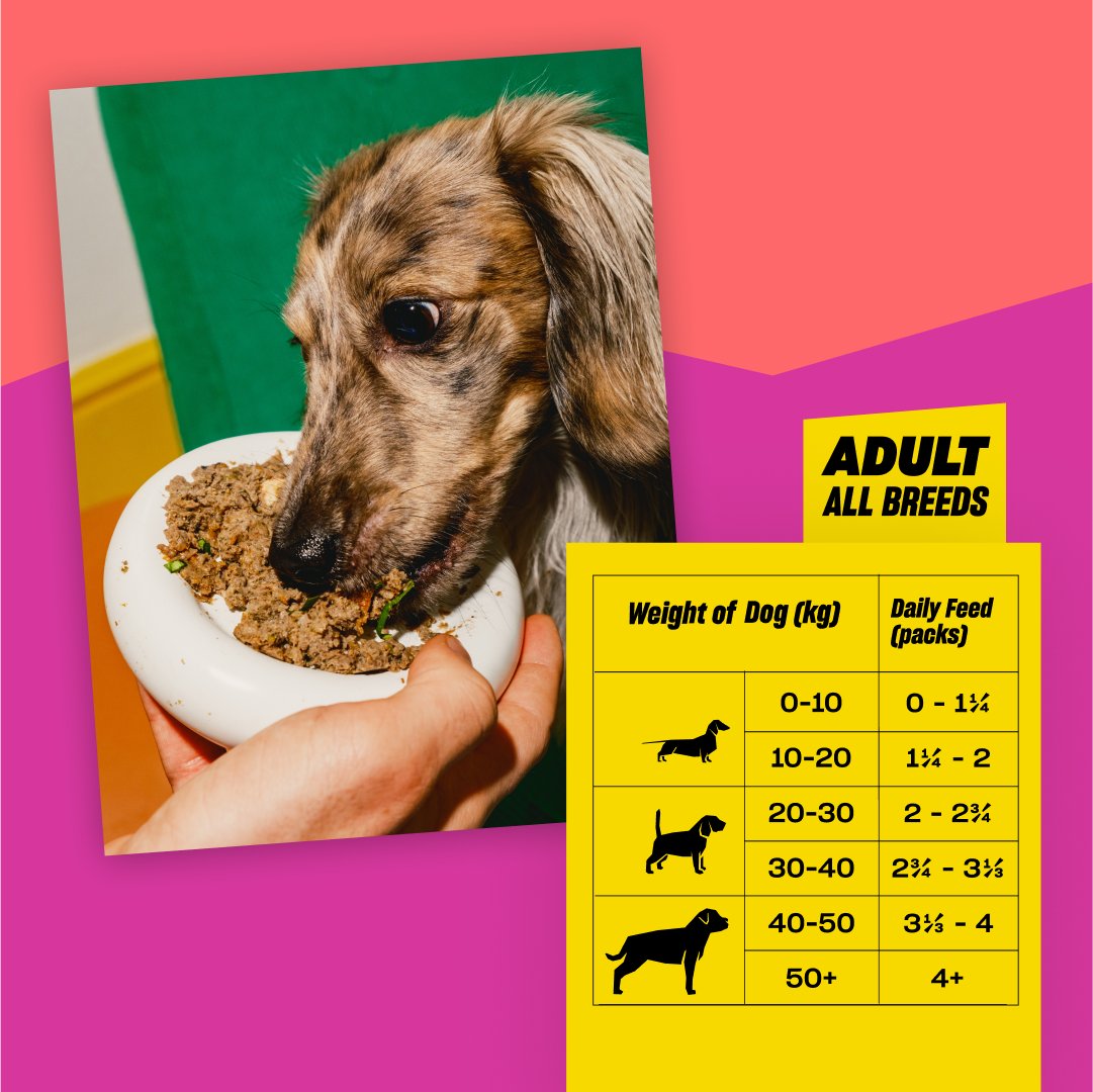 TASTER PACK (SUBSCRIPTION)