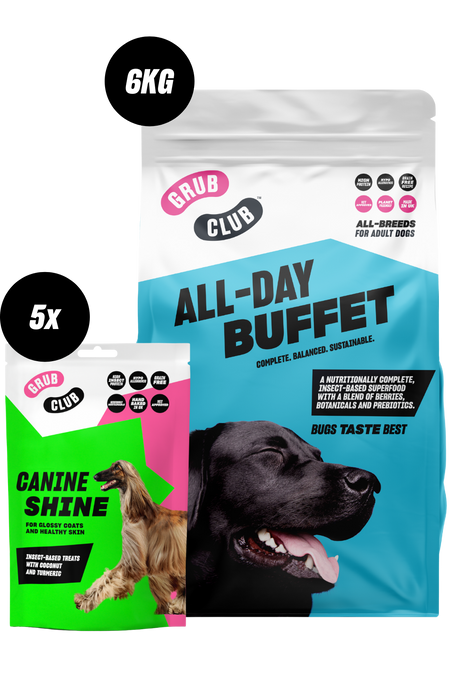 Best dog food for top healthy skin and coat