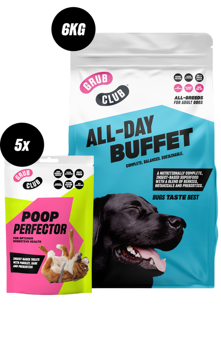 Best digestive dog food clearance