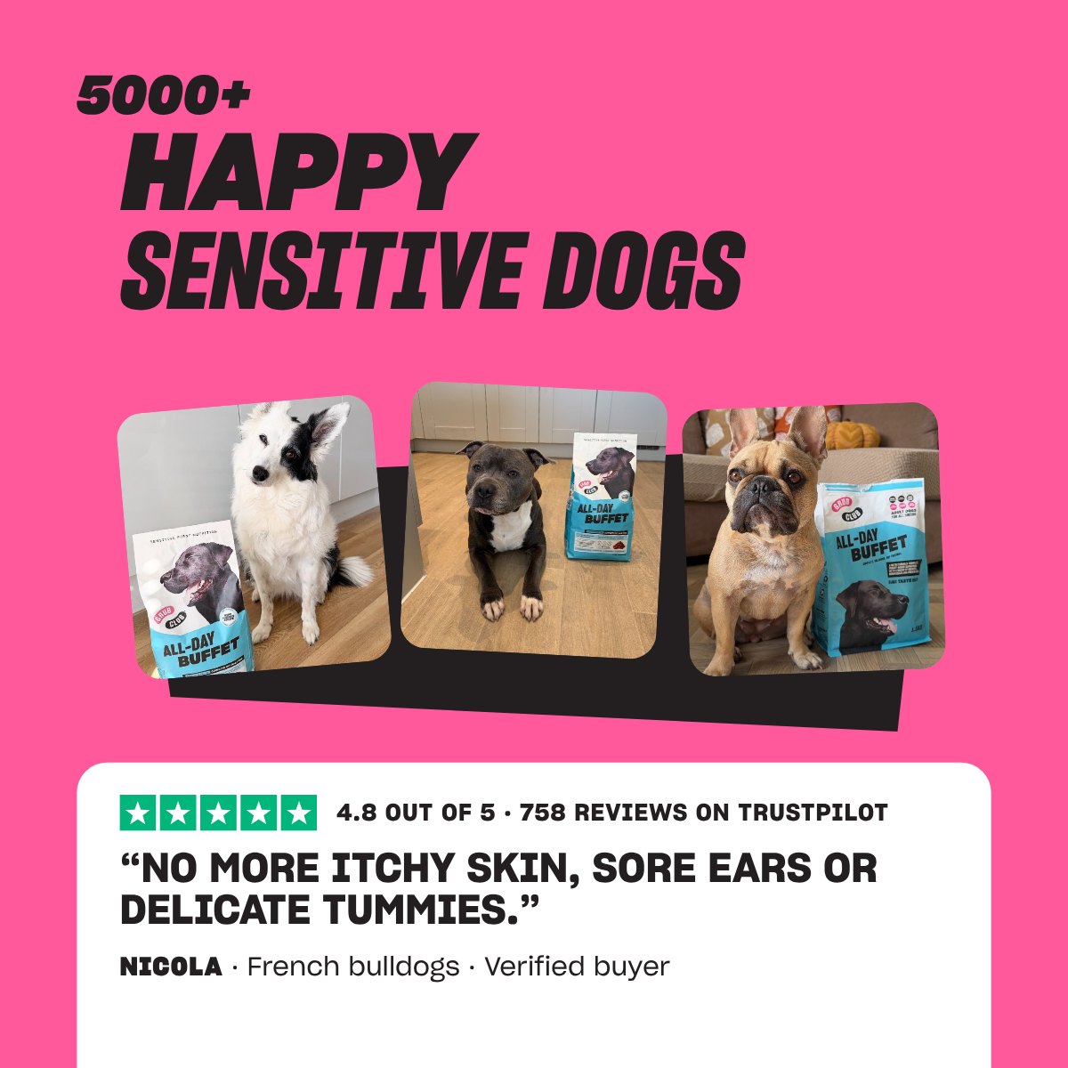5000+ happy sensitive dogs: three customers’ dogs with All-Day Buffet and a five-star Trustpilot review