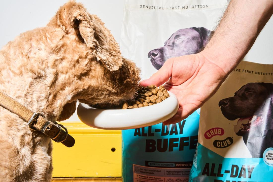 A dog tucking into a bowl of All-Day Buffet